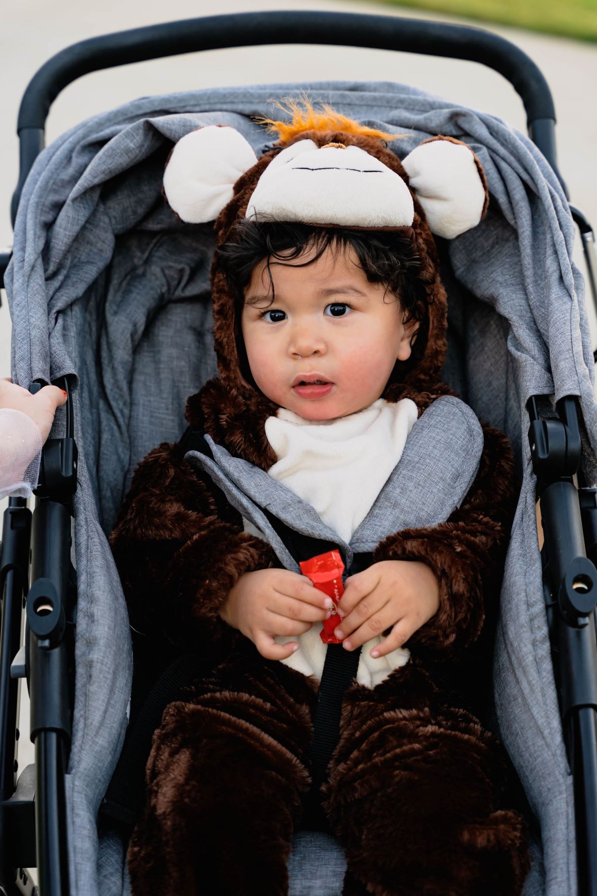 what-kind-of-stroller-can-i-bring-to-disney